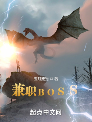 兼职boss小说