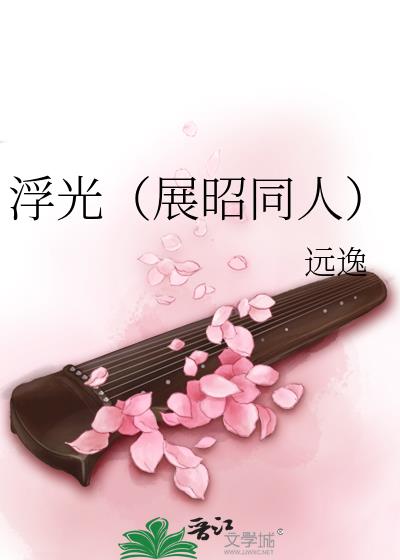 浮光讲的什么