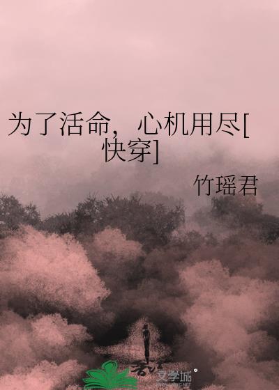 我娶了是什么小说