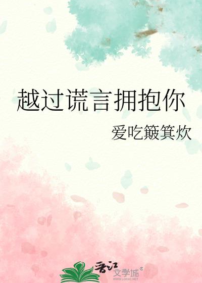 越过谎言去拥抱你歌词是什么意思