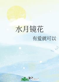 水月镜花亲密效果表