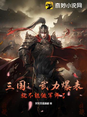 三国:武力爆表