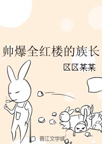 帅爆全红楼的族长 作者:区区某某