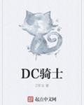 dc骑士