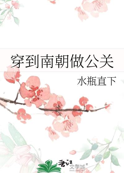 穿到南朝做公关的小说