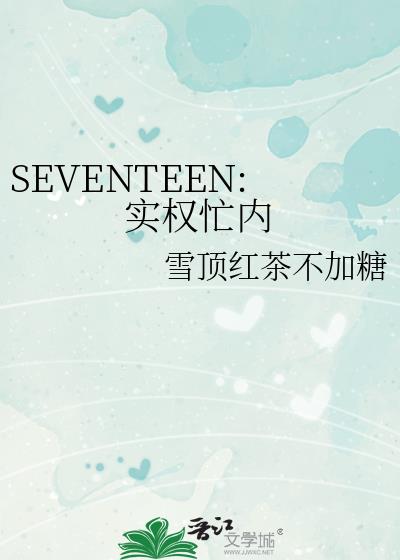 seventeen政治立场