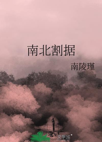 南北割据 民国