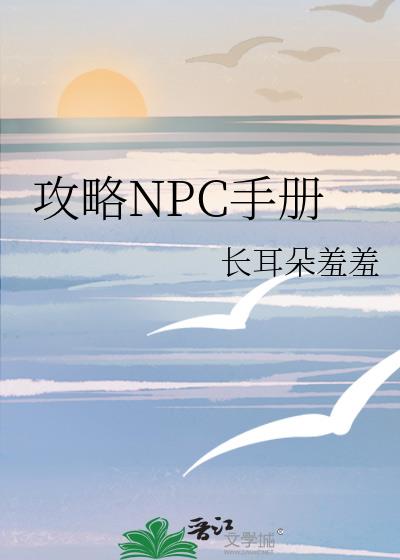 攻略的npc