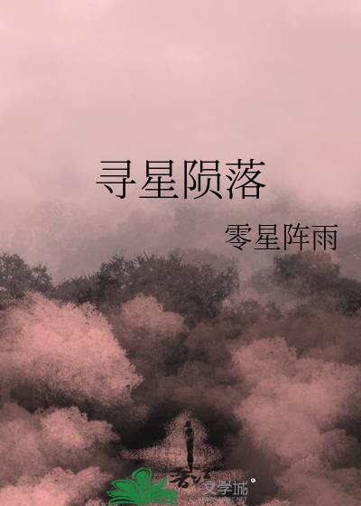 寻星3.0