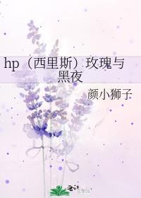 小说玫瑰与西装