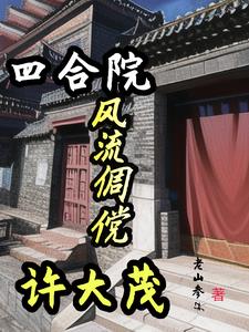 四合院 许大茂 小说