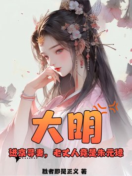 大明:进京寻妻