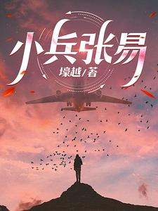 小兵张嗄免费完整版