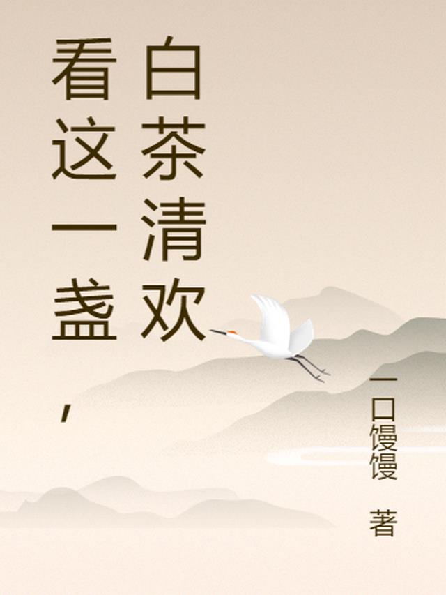 看这一盏，白茶清欢