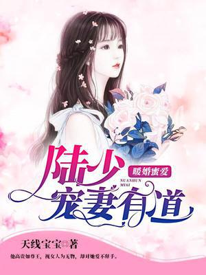 暖婚蜜爱:陆少宠妻有道 天线宝宝